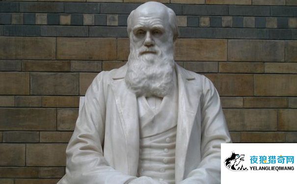 达尔文雕像